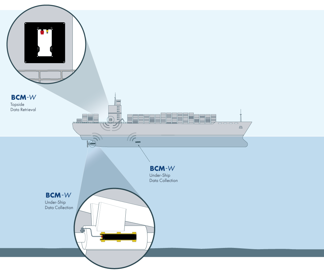 BCM-W-Illustration-24-10-CSignum